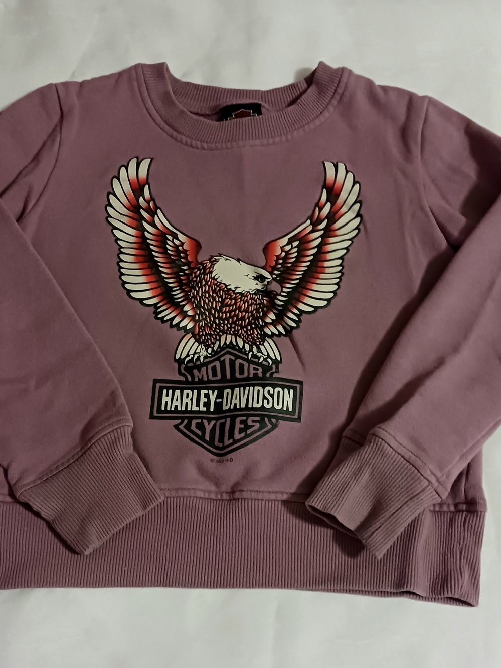 Harley-Davidson Girls Purple Plum Graphic Sweatshirt Size 10/12